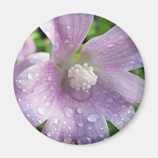 Leuchtend Lila Magnet (Vorne)