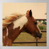 leuchtend poster (Vorne)