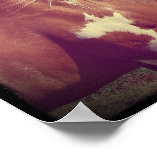 leuchtend poster (Ecke)