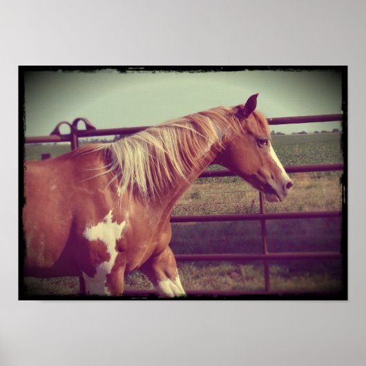 leuchtend poster (Vorne)