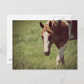 leuchtend postkarte (Vorne/Hinten)