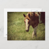 leuchtend postkarte (Vorne/Hinten)