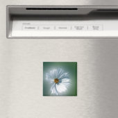 leuchtend weiß magnet (In Situ (Geschirrspüler))