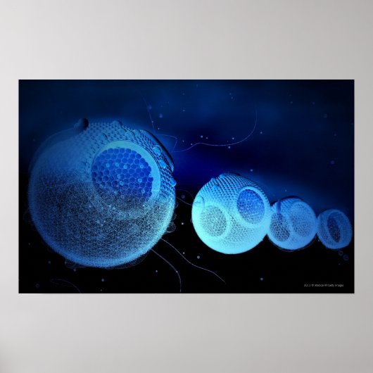 Leuchtende Abbildung von HDL Poster (Vorne)