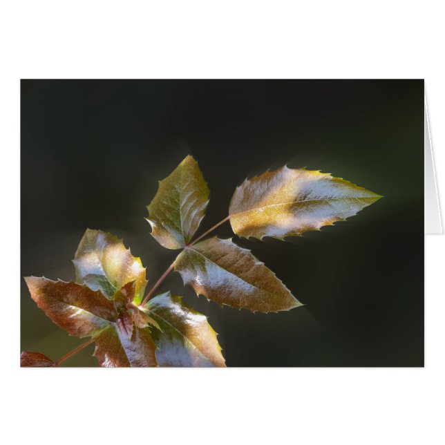 leuchtende Blätter (Vorderseite (Horizontal))