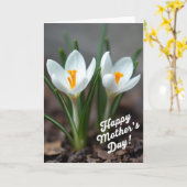 Leuchtende Blumen Muttertagskarte Karte (Gelbe Blume)