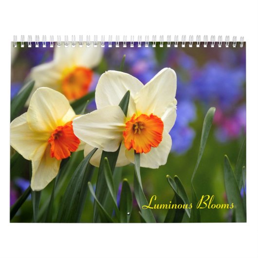 Leuchtende Blüten Kalender (Titelbild)