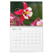 Leuchtende Blüten Kalender (Feb 2027)