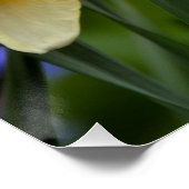 Leuchtende Blüten Poster (Ecke)