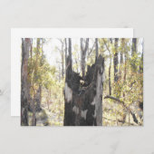 Leuchtende Drei-Karten (Vorne/Hinten)