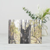 Leuchtende Drei-Karten (Stehend Vorderseite)