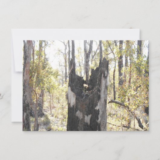 Leuchtende Drei-Karten (Vorderseite)