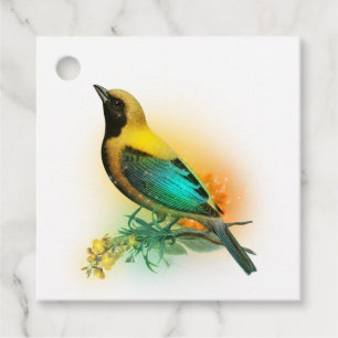 Leuchtende Fantasy-Gelb- und Türkis-Vogel Geschenkanhänger