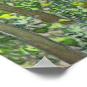 Leuchtende Herbstfarbe Poster (Ecke)