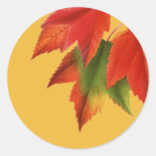 Leuchtende Herbstleaves Runder Aufkleber