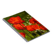 Leuchtende Mohnblumen Notizblock (Rechte Seite)