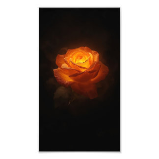 Leuchtende Orange Rose auf schwarzem Samt – Elegan Fotodruck
