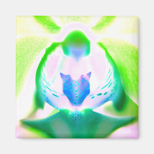 Leuchtende Orchideen-Magnete im Farbdruck Magnet