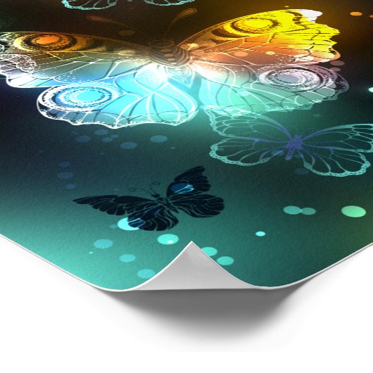 Leuchtende Schmetterlinge und Nachtschmetterlinge Poster (Ecke)