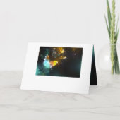 Leuchtende Schmetterlinge und Nachtschmetterlinge Programm (Rückseite)