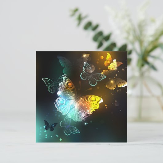 Leuchtende Schmetterlinge und Nachtschmetterlinge Programm (Stehend Vorderseite)