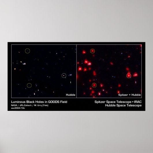 Leuchtende schwarze Holen im Warenfeld Poster (Vorne)