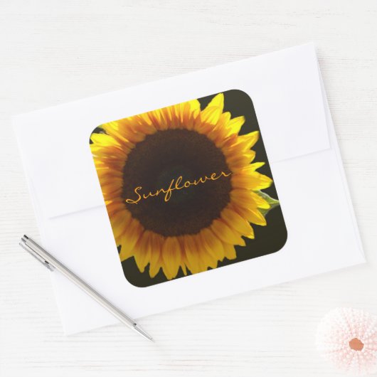 Leuchtende Sonnenblume Quadratischer Aufkleber (Umschlag)