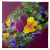 leuchtende Stiefmütterchen Fliese (Vorderseite)