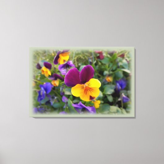 leuchtende Stiefmütterchen Leinwanddruck (Vorderseite)