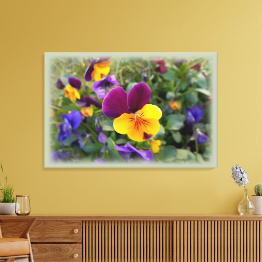 leuchtende Stiefmütterchen Leinwanddruck (Insitu (Wohnzimmer))