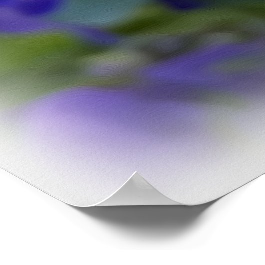 leuchtende Stiefmütterchen Poster (Ecke)