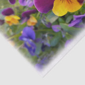 leuchtende Stiefmütterchen Seidenpapier (Ausschnitt)