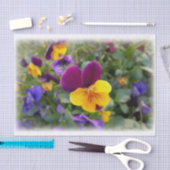 leuchtende Stiefmütterchen Seidenpapier (Handwerk)