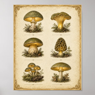 Leuchtende Vintage-Pilzkarte Cottagecore-Botanik Poster
