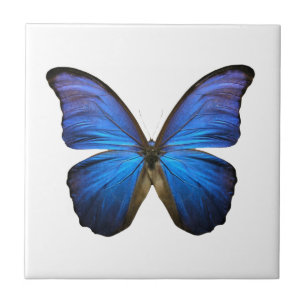 Leuchtender blauer Schmetterling Fliese