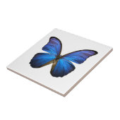Leuchtender blauer Schmetterling Fliese (Seite)