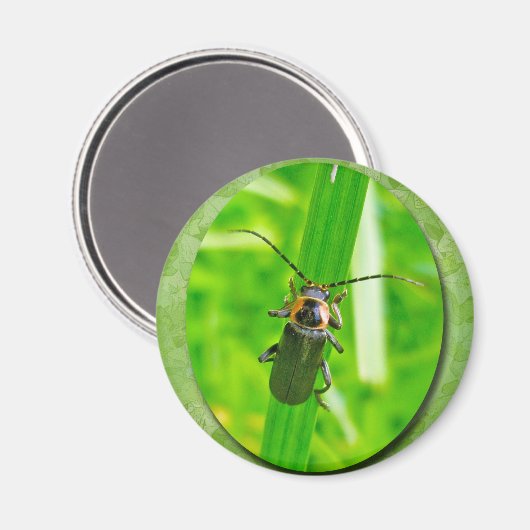 Leuchtender Bug Magnet (Vorderseite/Rückseite)