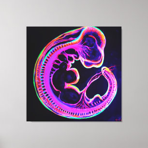 Leuchtender Embryo, der im Dunkeln leuchtet Leinwanddruck