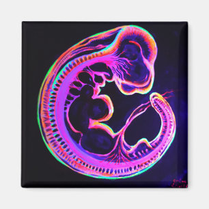 Leuchtender Embryo, der im Dunkeln leuchtet Magnet