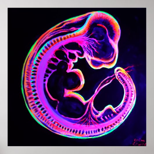Leuchtender Embryo, der im Dunkeln leuchtet Poster (Vorne)