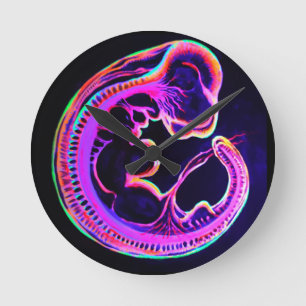 Leuchtender Embryo, der im Dunkeln leuchtet Runde Wanduhr