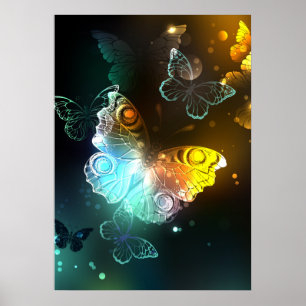 Leuchtender Schmetterling und Nachtfalter Poster