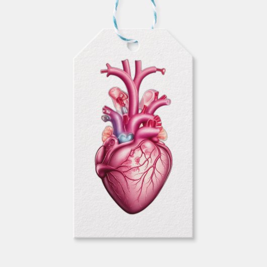 leuchtendes anatomisches Herz Geschenkanhänger (Vorderseite)