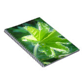 Leuchtendes Blatt mit Wassertropfen Notizblock (Rechte Seite)
