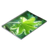 Leuchtendes Blatt mit Wassertropfen Notizblock (Linke Seite)