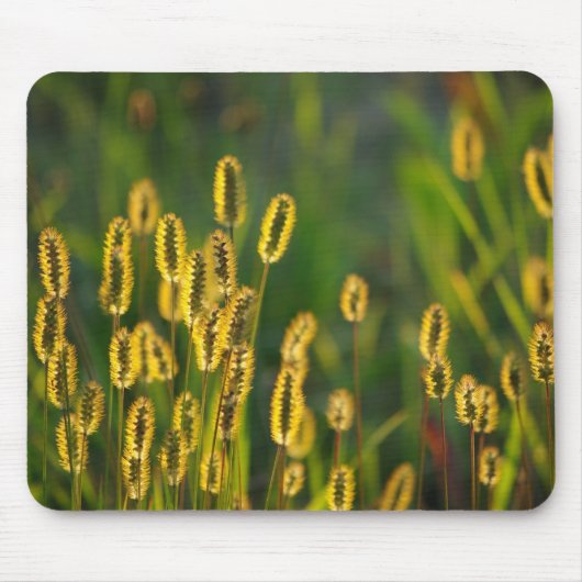 leuchtendes Gras - Mousepad (Vorne)