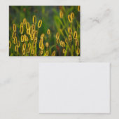 Leuchtendes Gras - Visitenkarte (Vorne/Hinten)