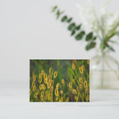 Leuchtendes Gras - Visitenkarte (Stehend Vorderseite)