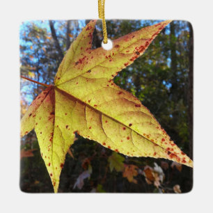 Leuchtendes Sweetgum-Blatt im Wald Keramikornament