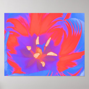 Leuchtendes Tulpenposter Poster